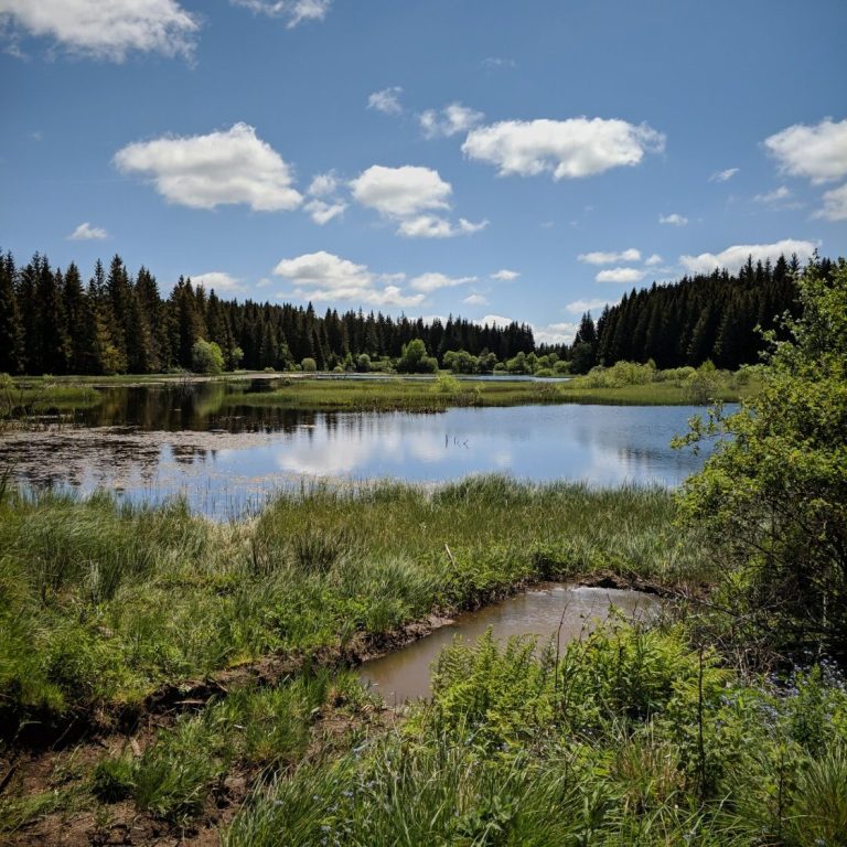 Une séance de reconnexion avec soi.